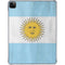 Argentina Flag Distressed iPad Pro 11in (2024) Clear Case