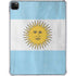 Argentina Flag Distressed iPad Pro 11in (2024) Clear Case