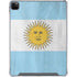 Argentina Flag Distressed iPad Cases
