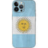 Argentina Flag Distressed iPhone 15 Pro Max Skin