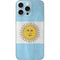 Argentina Flag Distressed iPhone 16 Pro Max Skin