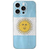 Argentina Flag Distressed iPhone 16 Pro Skin