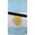 Argentina Flag Distressed PS5 Pro Bundle Skin