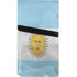 Argentina Flag Distressed PS5 Pro Disk Console Skin