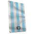 Argentina Soccer Flag Apple iPad Skin