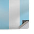 Argentina Soccer Flag PS5 Pro Disk Console Skin