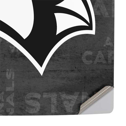 NFL Arizona Cardinals Black & White PS5 Pro Console Skin