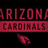 NFL Arizona Cardinals Black Performance Series Dell Latitude Skin