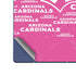 NFL Arizona Cardinals Pink Blast Galaxy Z Fold6 Skin