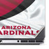 NFL Arizona Cardinals Dell Precision Skin