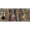 NFL Arizona Cardinals Realtree AP Camo Xbox Adaptive Controller Skin