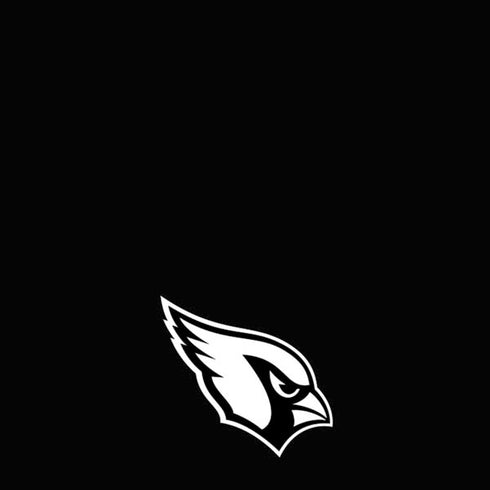 NFL Arizona Cardinals Shutout iPhone XS Skin