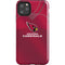 NFL Arizona Cardinals Team Jersey iPhone Cases