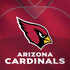 NFL Arizona Cardinals Team Jersey Dell Latitude Skin