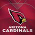 NFL Arizona Cardinals Team Jersey MacBook Skins