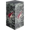 NHL Arizona Coyotes Camo XBox Series X Digital Edition Console Skin