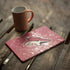 NHL Arizona Coyotes Frozen iPad Skins