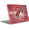 NHL Arizona Coyotes Frozen Apple MacBook Air Skin