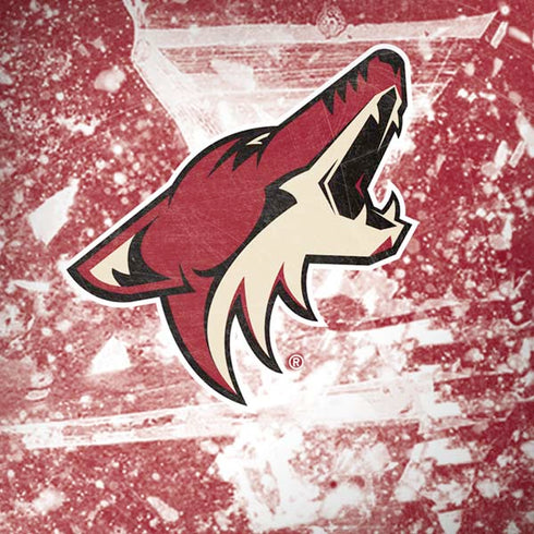NHL Arizona Coyotes Frozen Moto G6 Skin