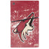 NHL Arizona Coyotes Frozen PS5 Slim Digital Edition Console Skin