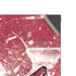 NHL Arizona Coyotes Frozen XBox Series X Digital Edition Console Skin