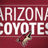 NHL Arizona Coyotes Lineup MacBook Skins