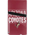 NHL Arizona Coyotes Lineup PS5 Pro Disk Bundle Skin