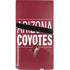 NHL Arizona Coyotes Lineup PS5 Pro Disk Console Skin
