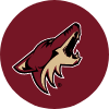 Shop Arizona Coyotes Designs Shop Arizona Coyotes Designs