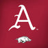 University of Arkansas-Fayetteville A Red Amazon Echo Skin