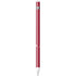 University of Arkansas-Fayetteville A Red Apple Pencil (1st Gen, 2017) Skin