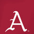 University of Arkansas-Fayetteville A Red iPhone XS Skin