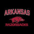 University of Arkansas-Fayetteville Razorbacks Black Amazon Echo Skin