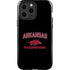 University of Arkansas-Fayetteville Razorbacks Black iPhone 14 Pro Max Impact Case