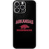 University of Arkansas-Fayetteville Razorbacks Black iPhone 16 Pro Max Skin