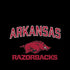 University of Arkansas-Fayetteville Razorbacks Black iPhone X Skin