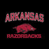 University of Arkansas-Fayetteville Razorbacks Black Moto E5 Play Skin