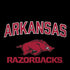 University of Arkansas-Fayetteville Razorbacks Black Moto G6 Skin