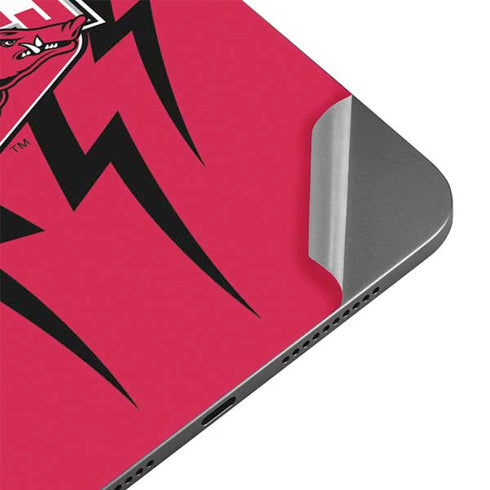 University of Arkansas-Fayetteville Razorbacks Apple iPad Mini Skin