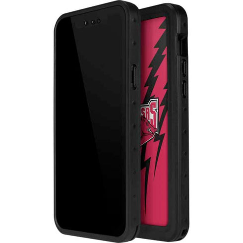 University of Arkansas-Fayetteville Razorbacks iPhone 15 Pro Waterproof Case