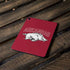 University of Arkansas-Fayetteville Razorbacks Logo Apple iPad Pro Skin