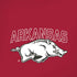 University of Arkansas-Fayetteville Razorbacks Logo iPhone X Pro Case