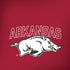 University of Arkansas-Fayetteville Razorbacks Logo iPhone X Skin