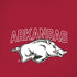University of Arkansas-Fayetteville Razorbacks Logo iPhone XS Max Skin