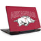 University of Arkansas-Fayetteville Razorbacks Logo Legion Y720 Skin