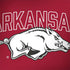 University of Arkansas-Fayetteville Razorbacks Logo MacBook Skins