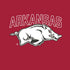 University of Arkansas-Fayetteville Razorbacks Logo Moto E5 Play Skin