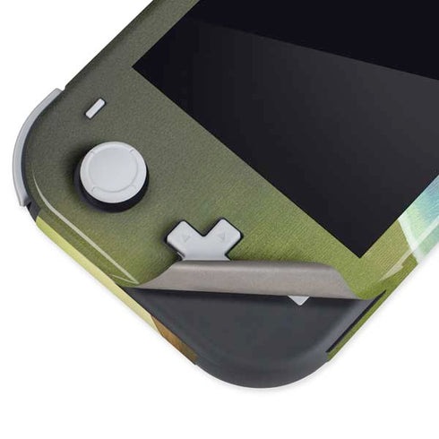 Marvel Rocket Raccoon Armored Arsenal Nintendo Switch Lite Skin