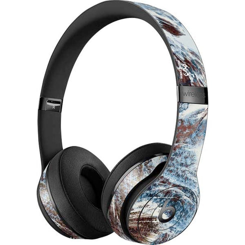 RealTree Aspect Light Camo Beats Solo 3 Wireless Skin