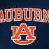 Auburn University AU MacBook Skins